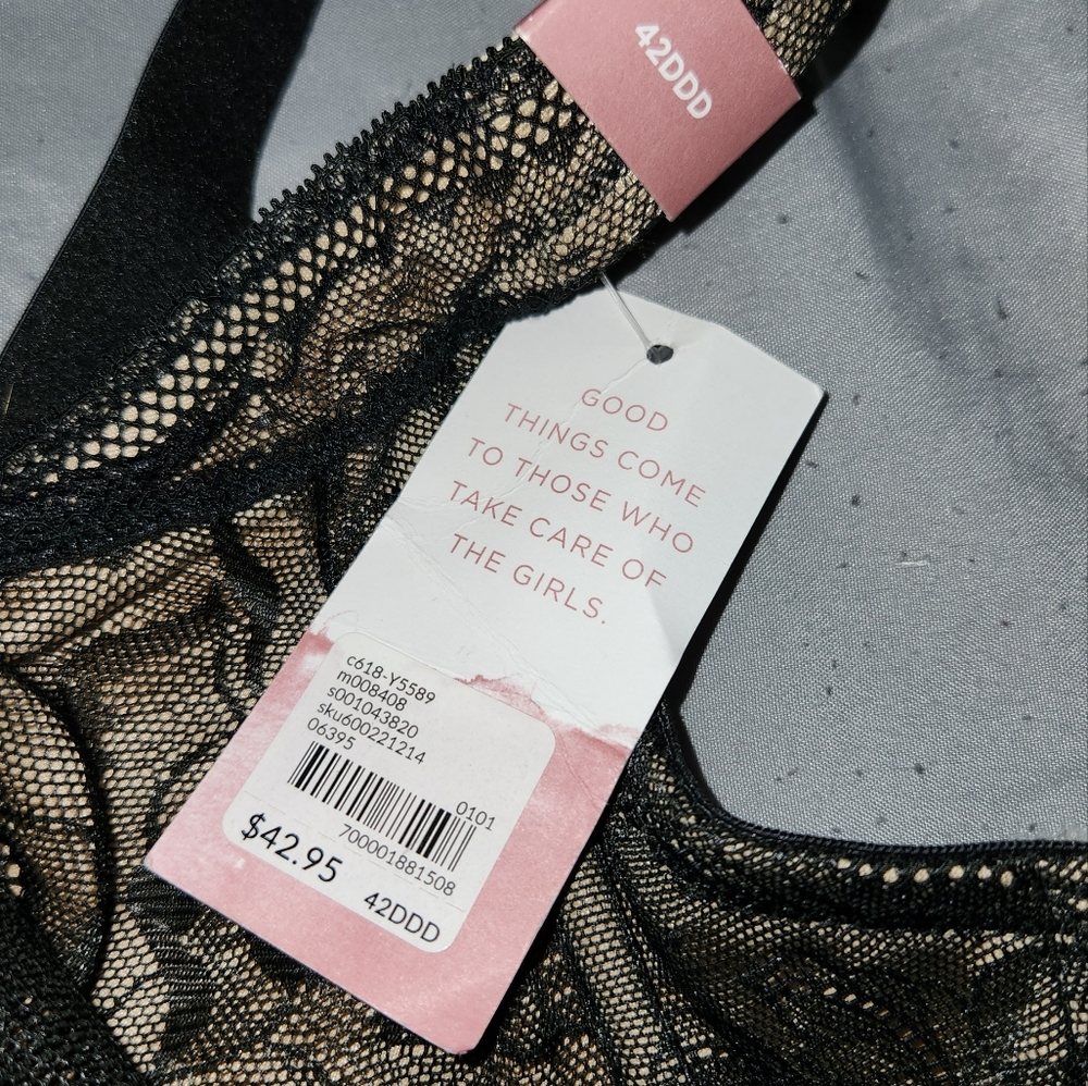 Lane Bryant Bra